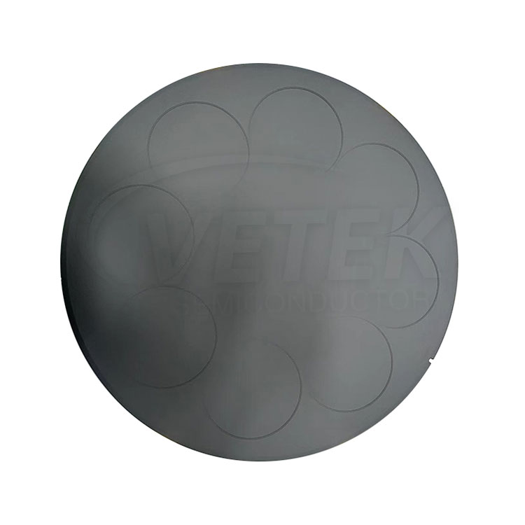SIC з покриттям млинця для пластівців LPE PE3061S 6 ''